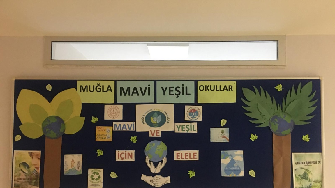 Mavi Yeşil Okullar Projesi